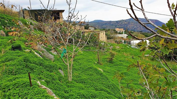 Image No.11-Propriété de 1 chambre à vendre à Agriana