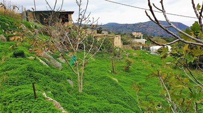 Photo 11 - Cottage 68 m² in Crete