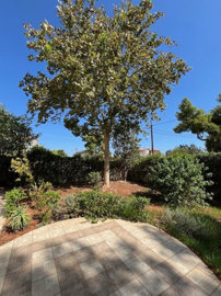 Photo 12 - Cottage 300 m² in Attica