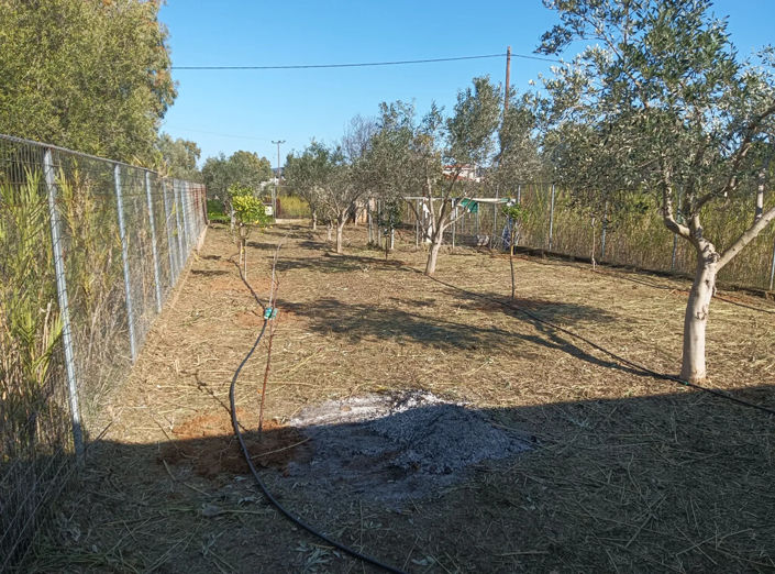 Image No.24-Propriété à vendre à Marathon