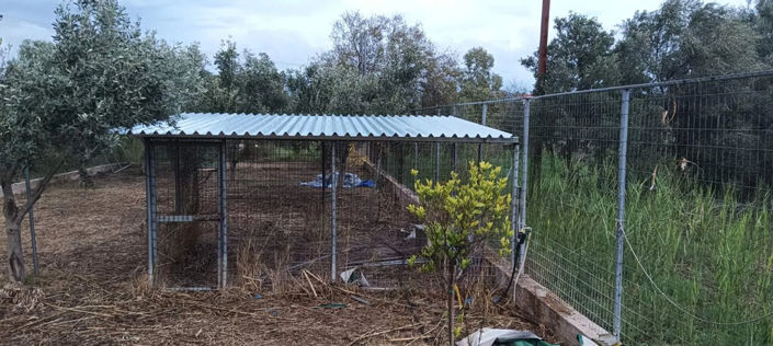 Image No.25-Propriété à vendre à Marathon