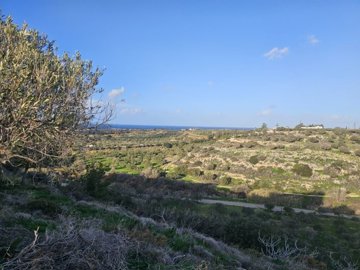 Photo 9 - Cottage 60 m² in Crete