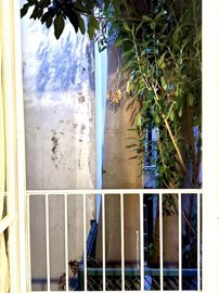 Photo 9 - Apartment 26 m² in Attica