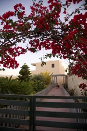 Photo 2 - Cottage 220 m² in Crete