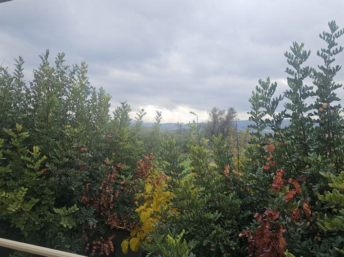 Image No.18-Villa for sale