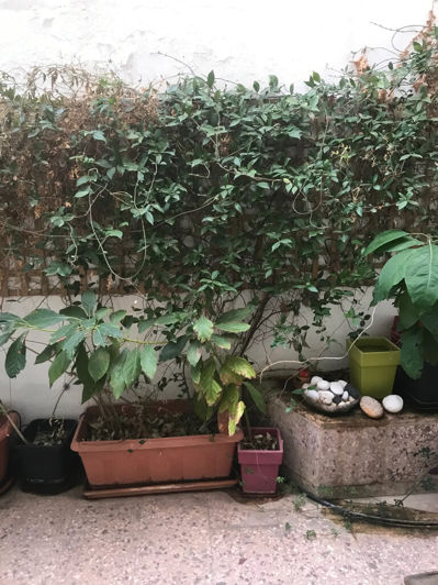 Image No.9-2 Bed Flat for sale