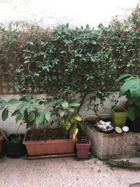 Photo 9 - Apartment 80 m² in Attica