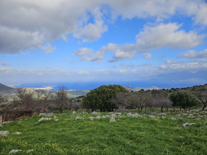 Image No.2-Land for sale