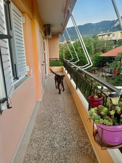 Image No.20-2 Bed Flat for sale