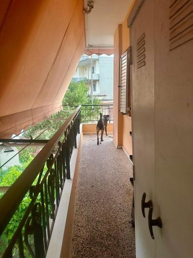 Image No.22-2 Bed Flat for sale