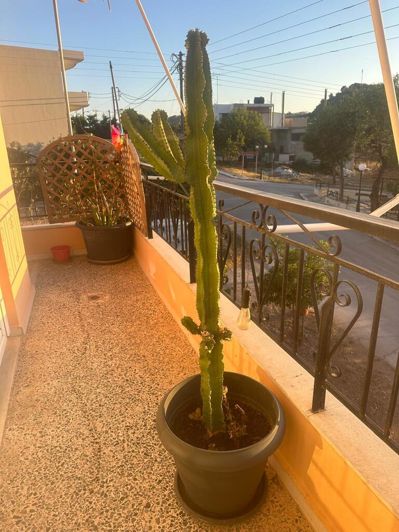 Image No.26-2 Bed Flat for sale