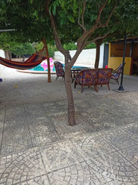 Photo 9 - Cottage 110 m² in Peloponnese