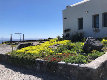 Photo 11 - Commercial 650 m² in Aegean islands