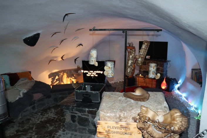 Image No.20-3 Bed Commercial for sale