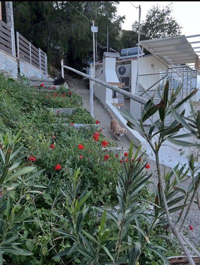 Image No.3-Propriété à vendre à Matala