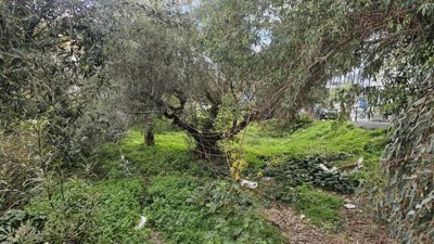 Photo 4 - Land 0 m² in Crete