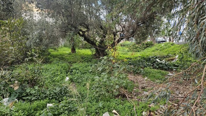 Image No.5-Land for sale