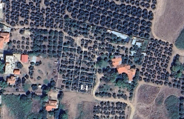 Image No.2-Terre à vendre à Halkidiki