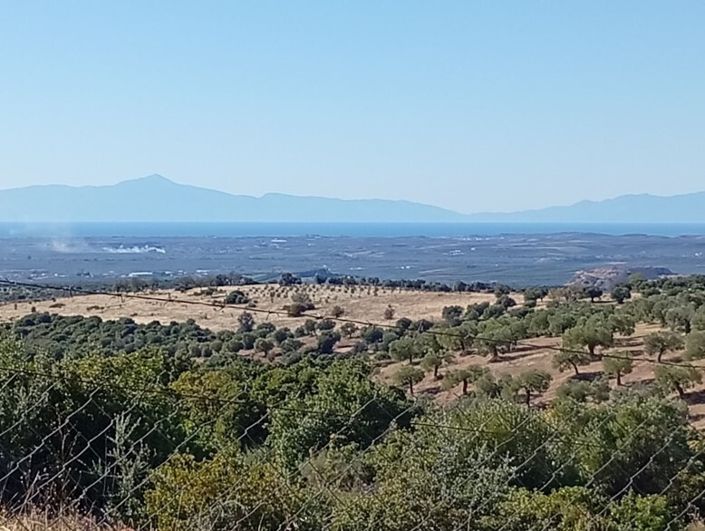 Image No.16-Propriété de 1 chambre à vendre à Halkidiki