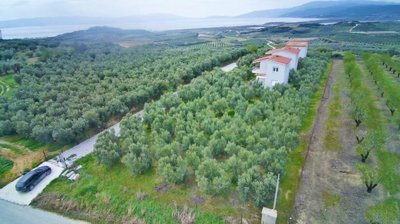 Photo 4 - Property 195 m² in Eastern Macedonia and Thrace