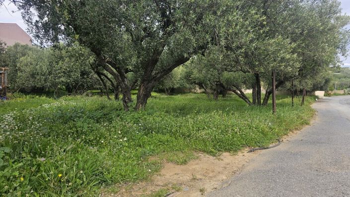 Image No.3-Land for sale