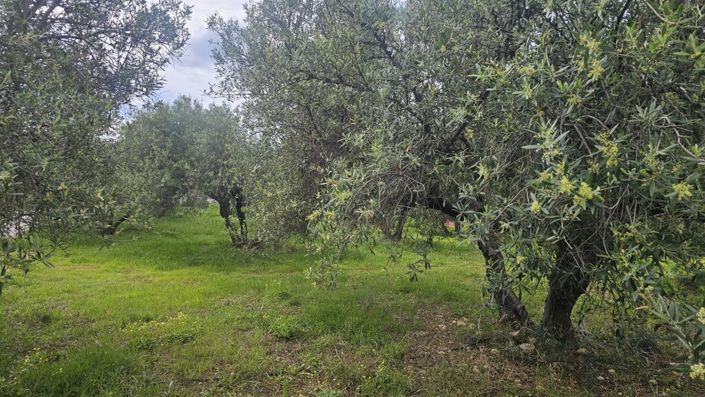 Image No.4-Land for sale