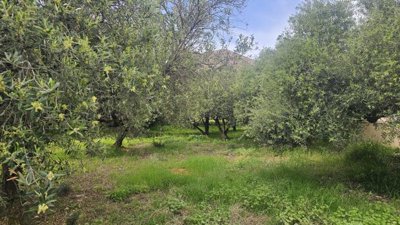 Photo 5 - Land 0 m² in Crete