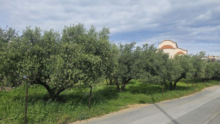 Image No.7-Land for sale