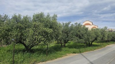 Photo 7 - Land 0 m² in Crete