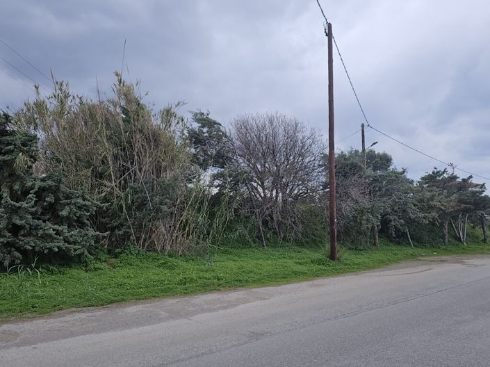 Image No.5-Terre à vendre à Adele