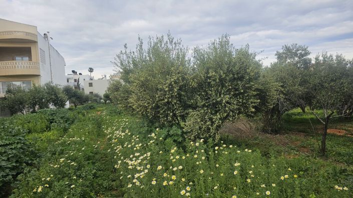 Image No.4-Land for sale