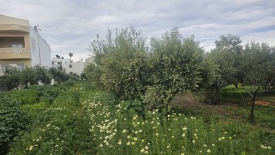 Photo 4 - Land 0 m² in Crete