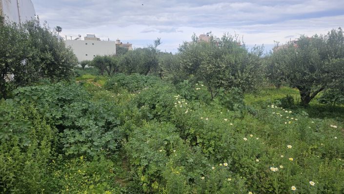 Image No.6-Land for sale