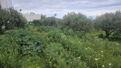 Photo 6 - Land 0 m² in Crete