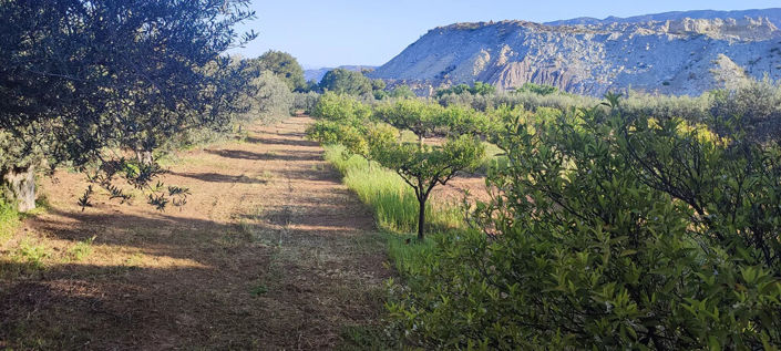 Image No.16-5 Bed Property for sale