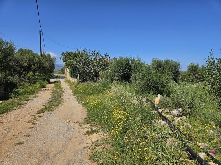 Image No.6-Land for sale