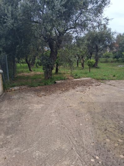 Image No.3-Propriété de 3 chambres à vendre à Derveni