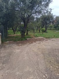 Photo 9 - Cottage 97 m² in Peloponnese