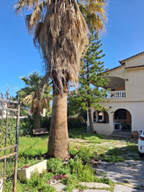 Photo 1 - Cottage 160 m² in Attica