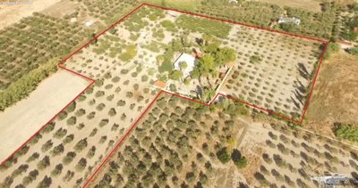 Photo 3 - Villa 200 m² in Peloponnese