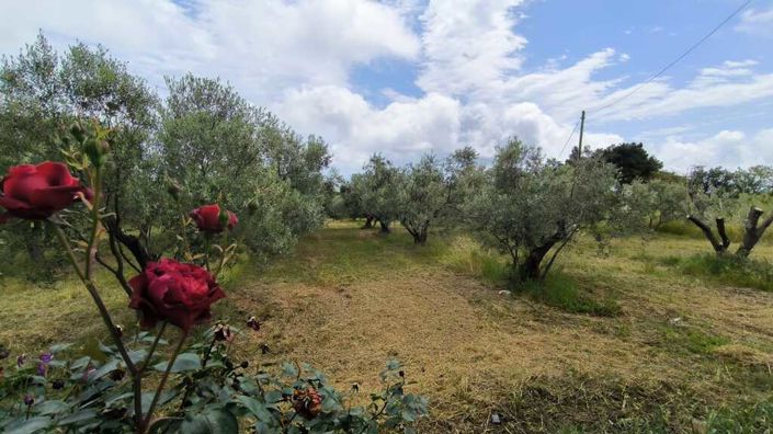 Image No.25-3 Bed Property for sale