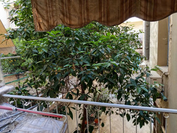 Photo 6 - Apartment 71 m² in Attica