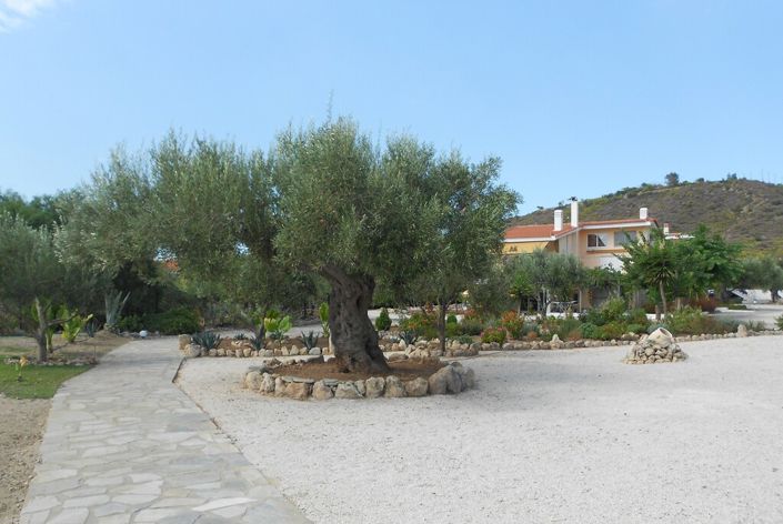 Image No.25-13 Bed Villa for sale