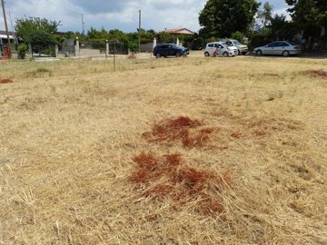 Photo 2 - Land 0 m² in Central Macedonia