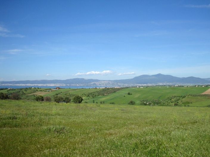 Image No.3-Terre à vendre à Thessalonique
