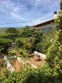 Photo 15 - Cottage 110 m² in Attica