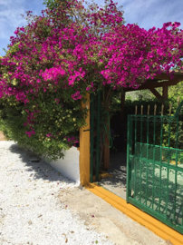 Photo 9 - Cottage 110 m² in Attica