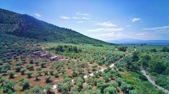 Image No.15-Propriété de 2 chambres à vendre à Thassos