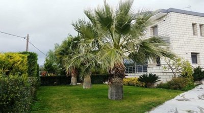 Photo 8 - Cottage 300 m² in Crete