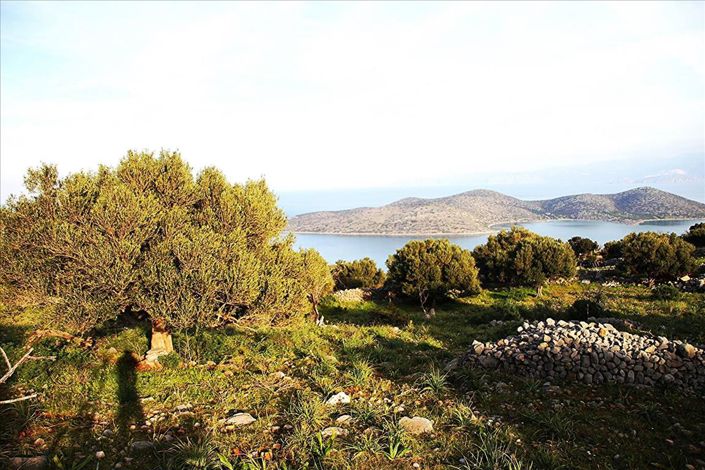 Image No.3-Terre à vendre à Elounda